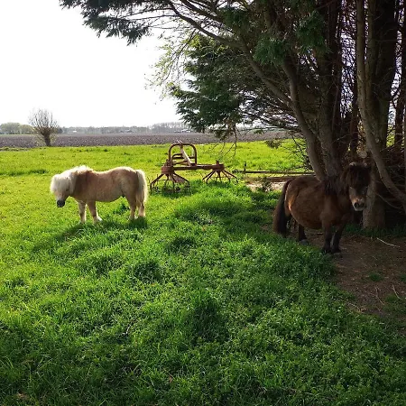 De Boerenskuur..chalet.. *