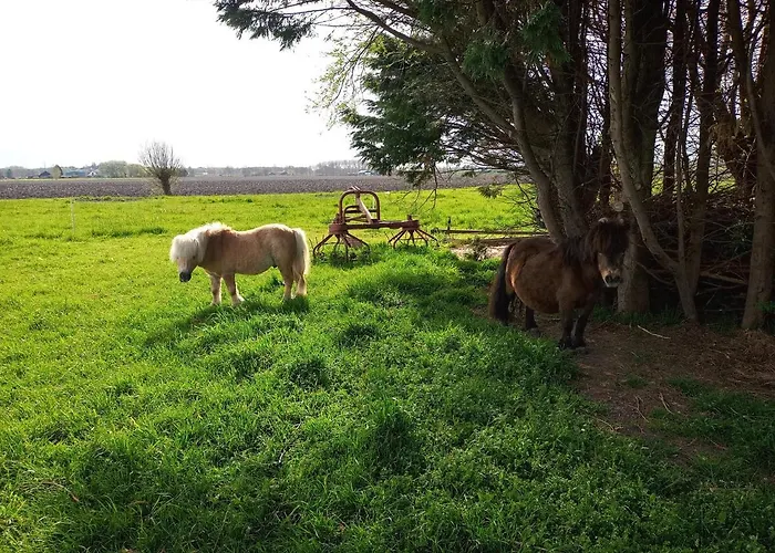 De Boerenskuur..chalet.. *