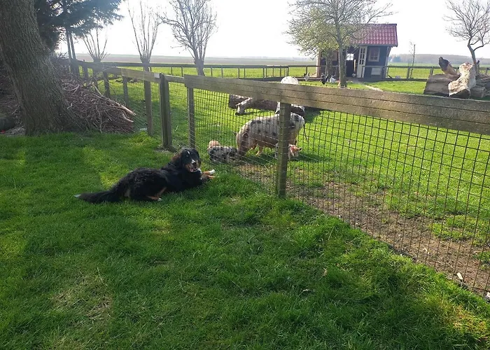 De Boerenskuur..chalet.. Vakantiehuis Assendelft